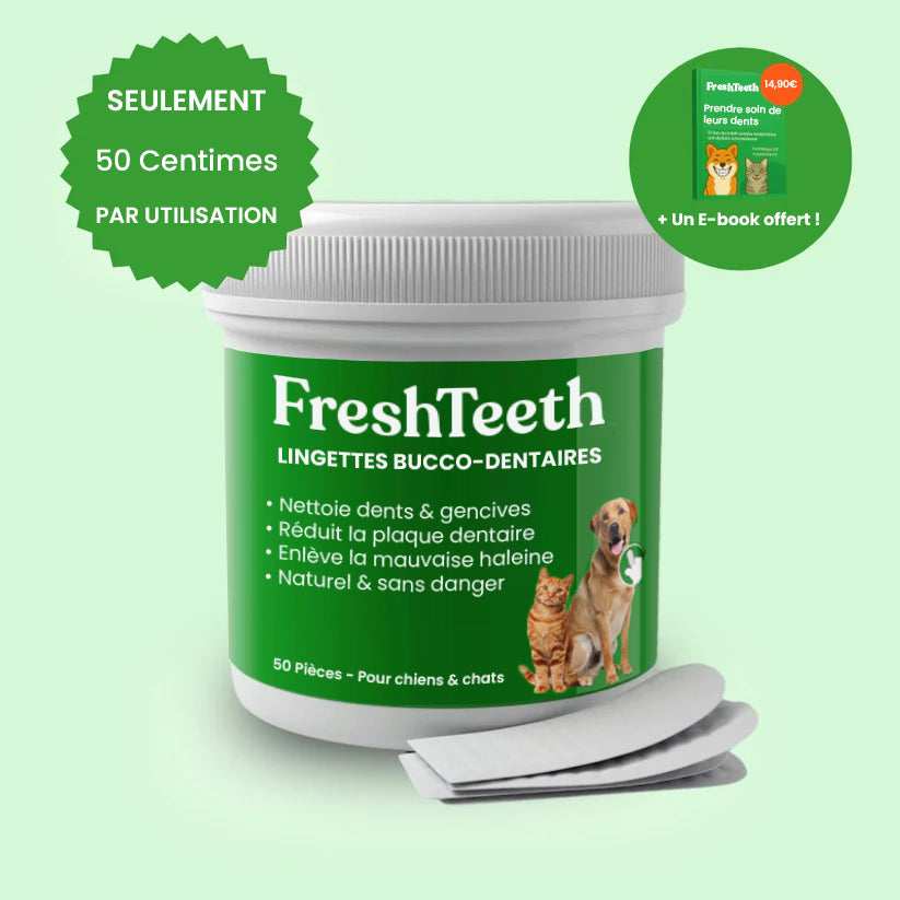 Lingettes bucco-dentaires FreshTeeth