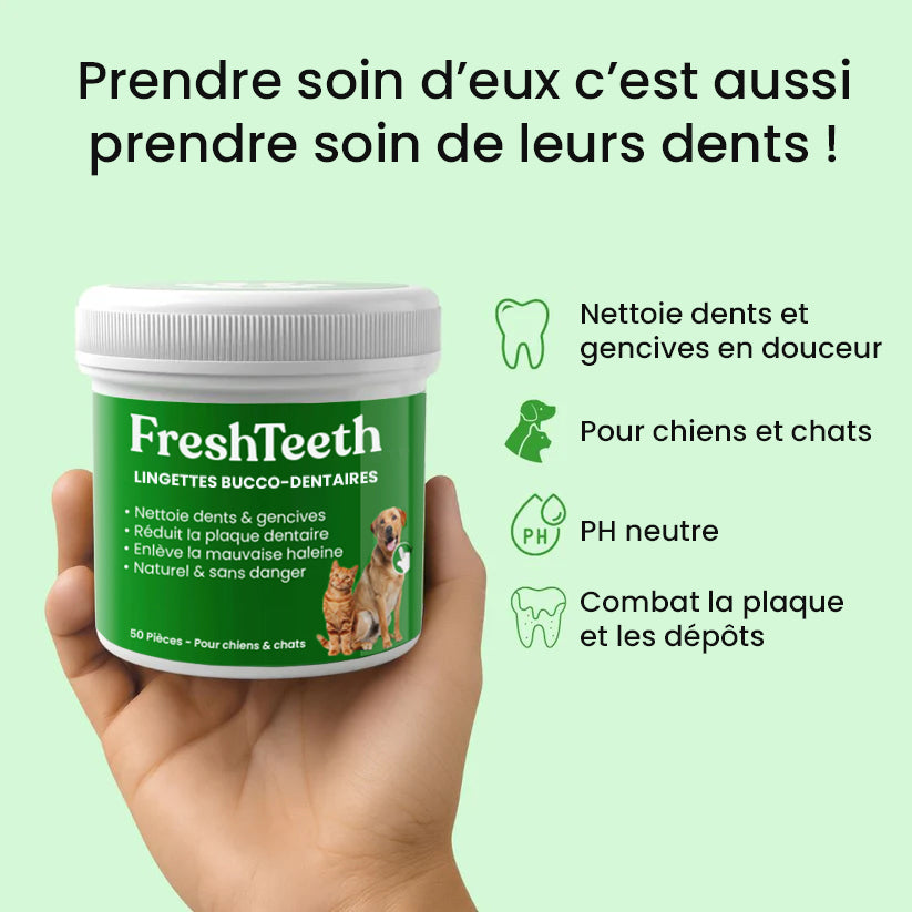 Lingettes bucco-dentaires FreshTeeth