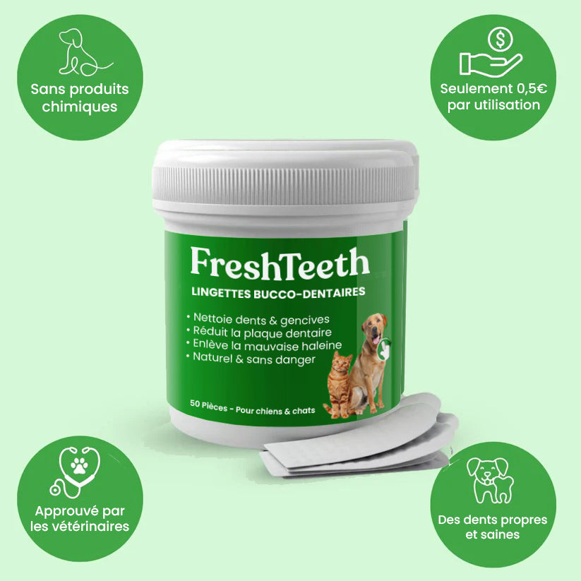 Lingettes bucco-dentaires FreshTeeth