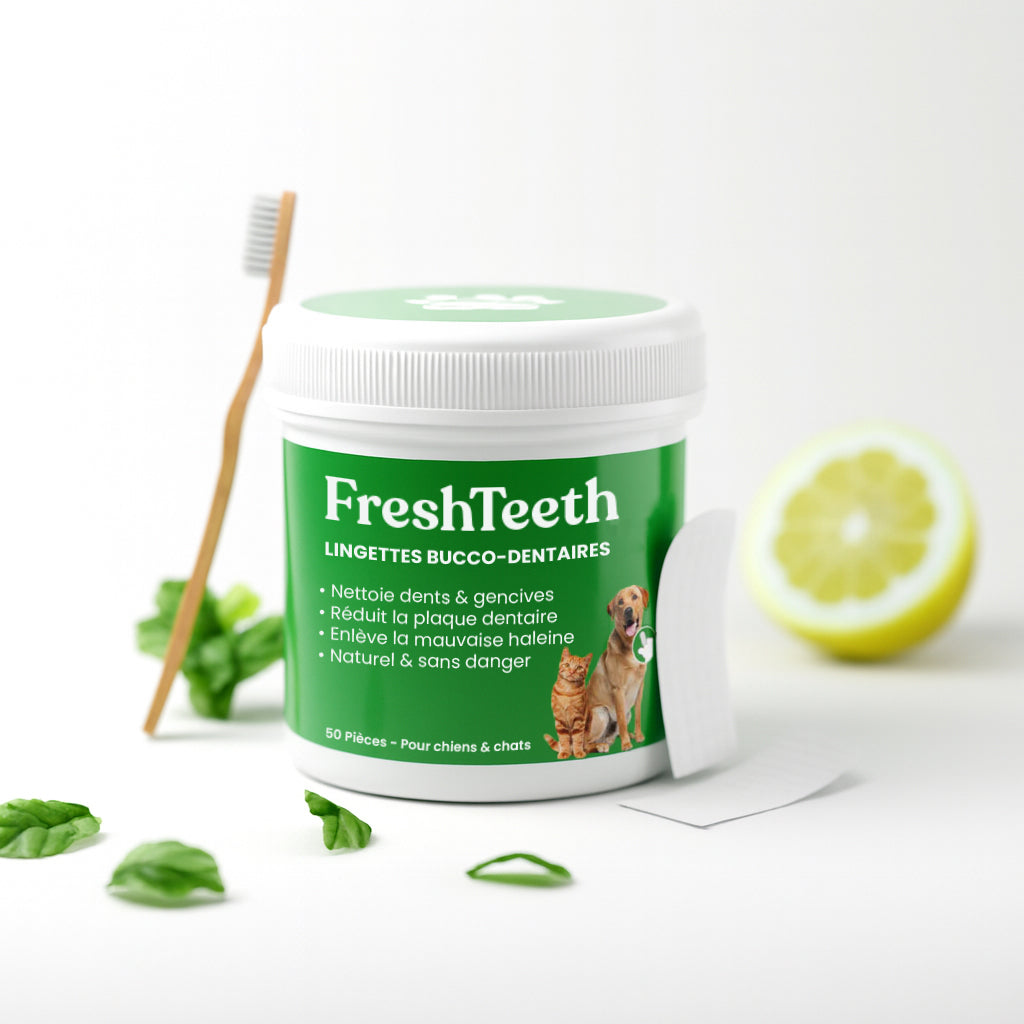 Lingettes bucco-dentaires FreshTeeth