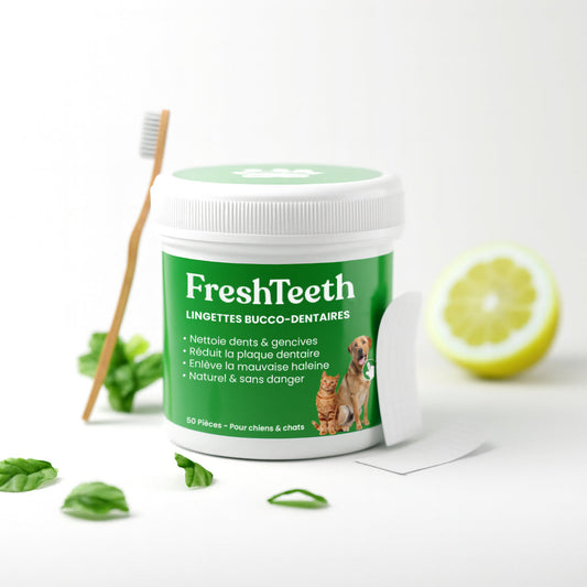 Lingettes bucco-dentaires FreshTeeth